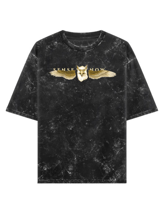 I - The Eagle's Ascendancy