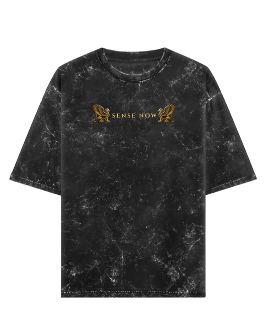 V - Guardians of Balance