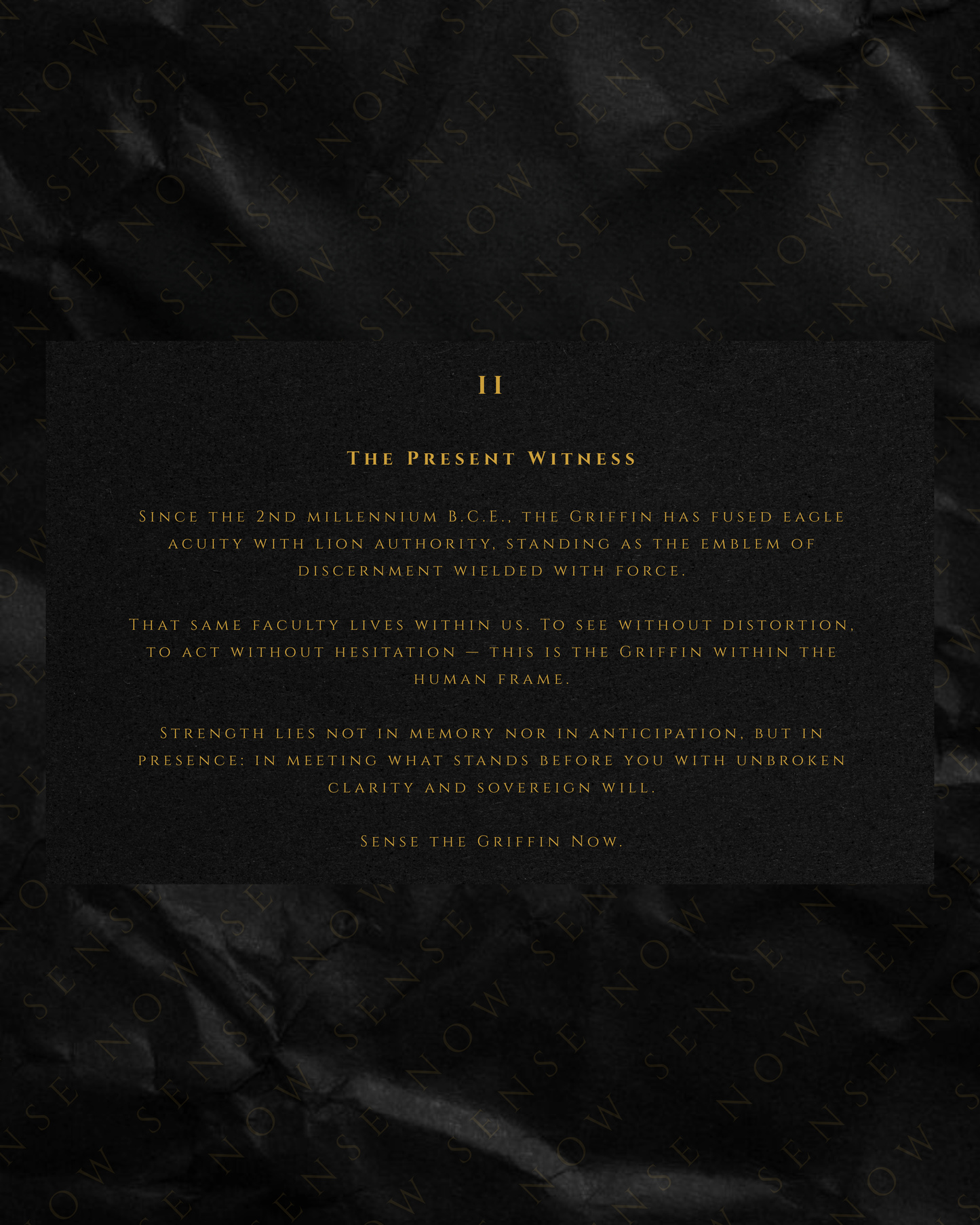 II - The Present Witness