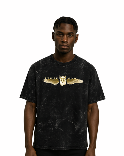 I - The Eagle's Ascendancy