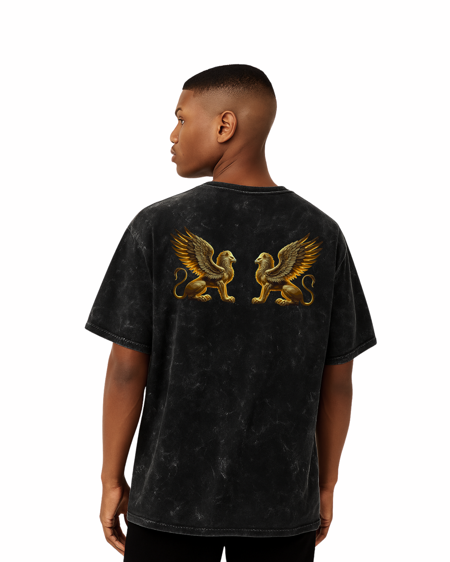 IV - The Eternal Sentinels